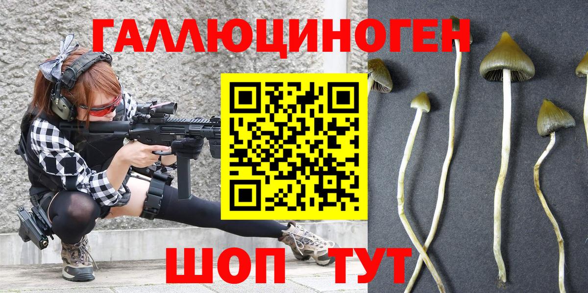Галлюциногенные грибы мухоморы  Вход с VPN  Заречный  Галлюциногенные грибы GOLDEN TEACHER 