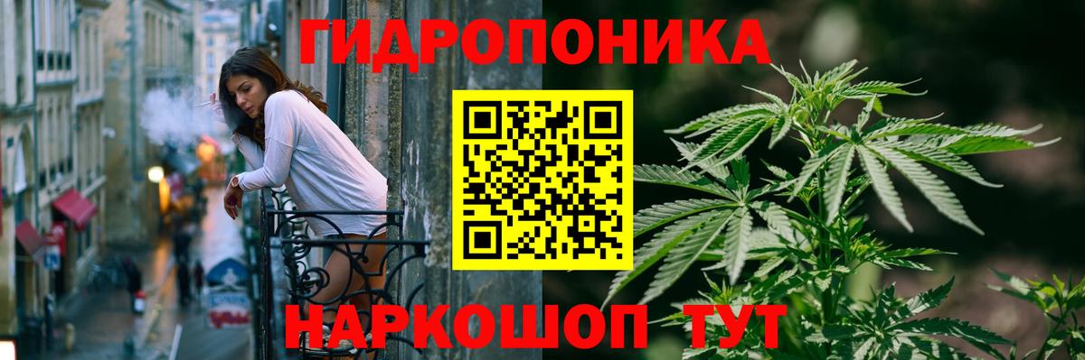 Шишки марихуана гибрид  МАРИХУАНА сатива  Заречный  Вход с VPN 